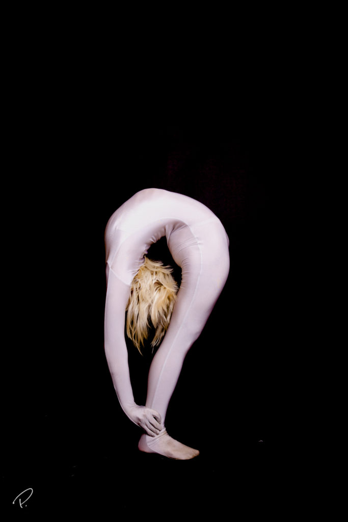 Copy of 03Contortionist